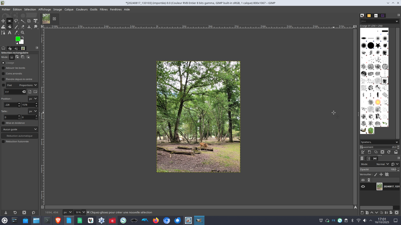 image redimensionnée